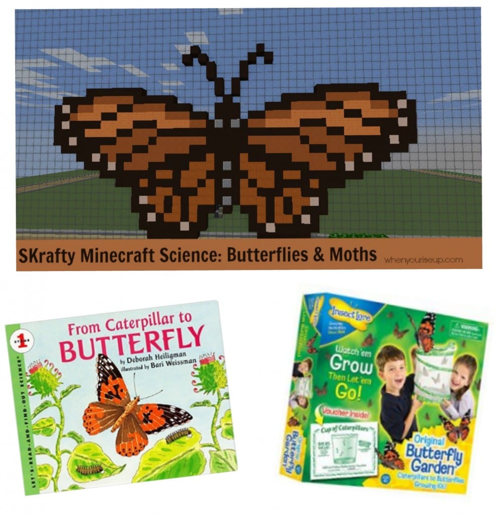 Butterflies & Moths Class