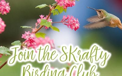 SKrafty Homeschool Bird Club Participate in the Great Backyard Bird Count