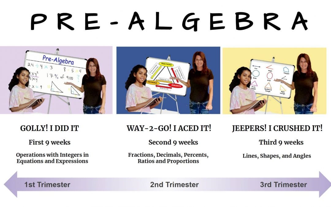 Online Math: Pre-Algebra Self Paced Class 2022/2023