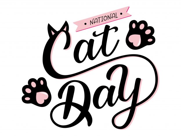 Celebrate National Cat Day course image