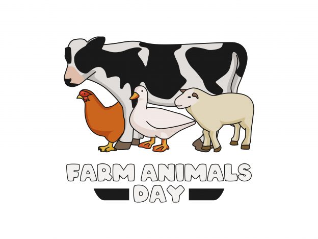 Celebrate World Farm Animals Day course image