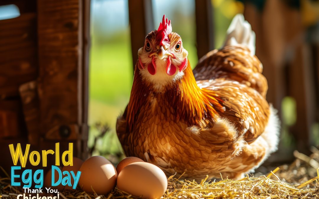 Celebrate World Egg Day