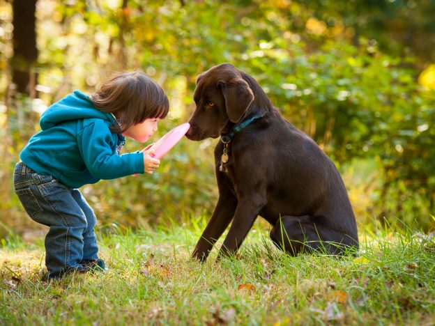 Man’s Best Friend: Exploring the World of Dogs course image