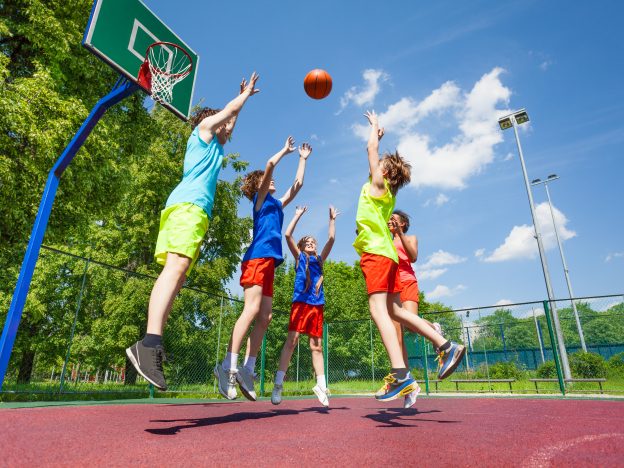 Hoops and History: Exploring the World of Basketball course image