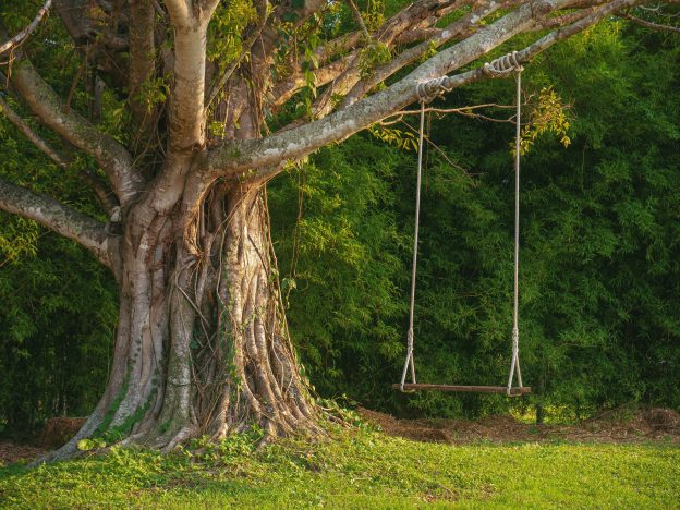 Leaves, Roots, and Branches: A Journey into the World of Trees course image