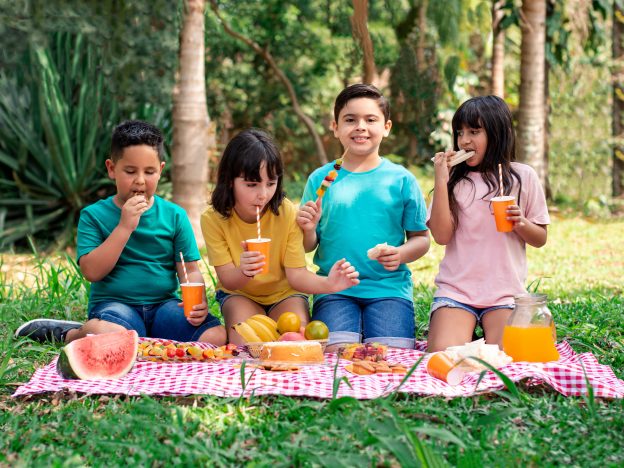 The Joy of Picnics: Food, Fun, and the Outdoors course image