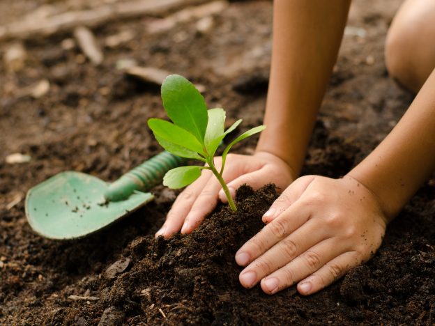 Plant It, Grow It, Love It: A Gardening Adventure 🌱 course image