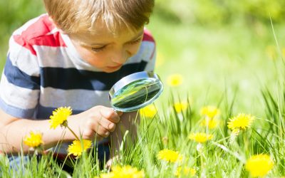 Five Learning Games to Keep Skills Fresh this Summer